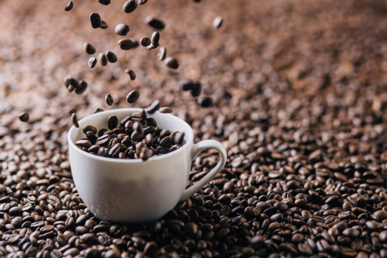 coffee-was-first-introduced-in-America