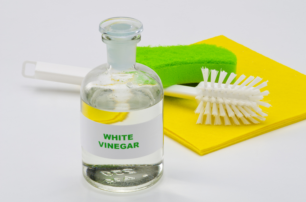 How to clean your coffee maker without vinegar?