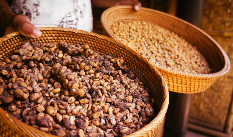 coffee monkey poop in a wooden basket held mid air