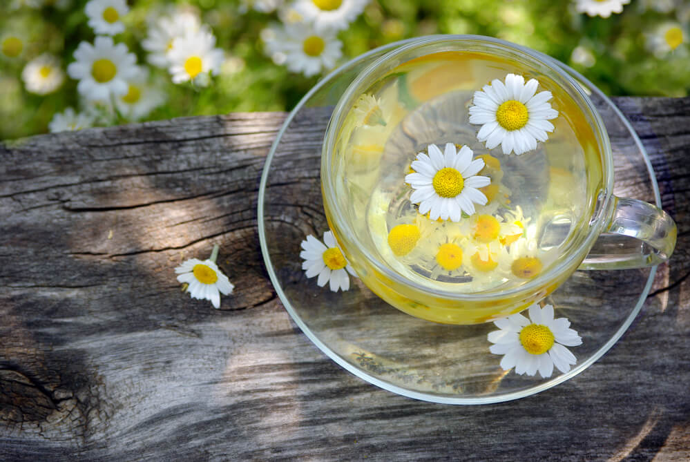 chamomile tea