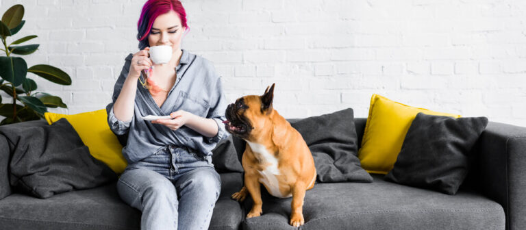 Why is coffee bad for dogs
