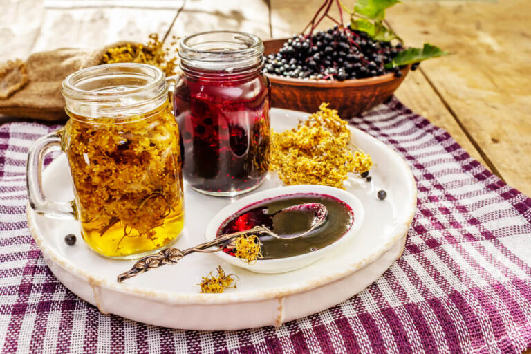 Elderberry tea, dried flowers, ripe berries - What is elderberry tea