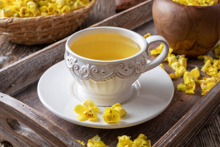 A cup of mullein tea with fresh blooming verbascum - What is mullein tea