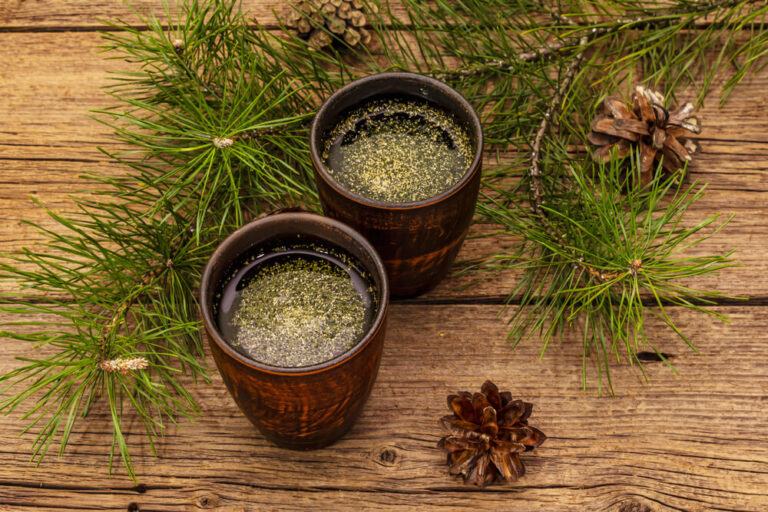 what-is-pine-needle-tea