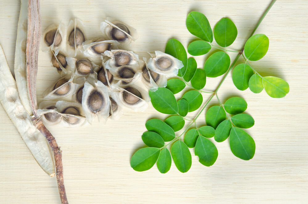 Moringa leaf and seed on wooden board