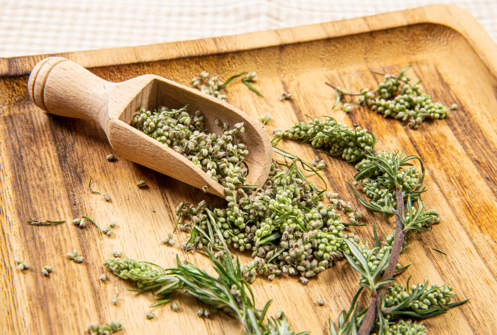 Potential health benefits of mugwort tea