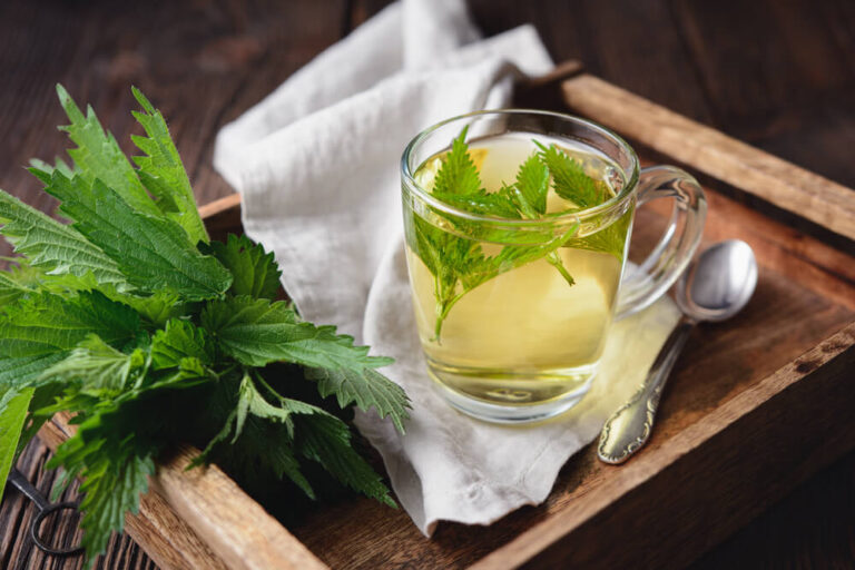 a glass cup of nettle tea on a wooden tray