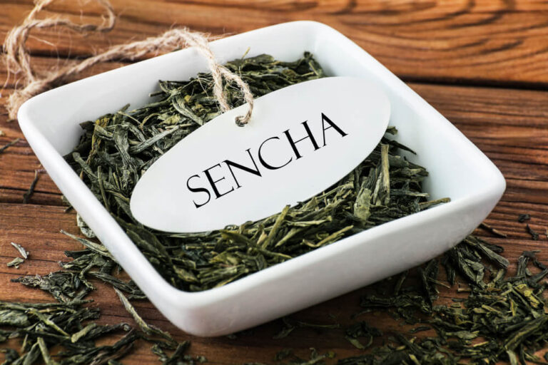 what is sencha tea