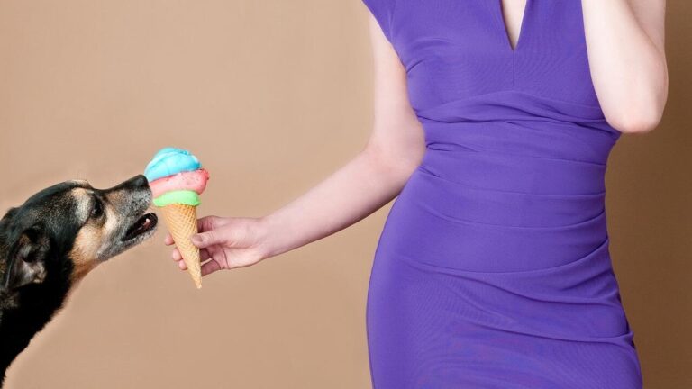 Can dogs have coffee ice cream?