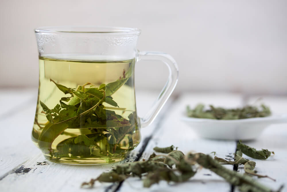 A freshly brewed cup of tea - What is lemon balm tea