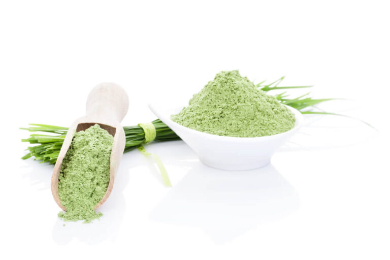 Can you put wheatgrass powder in coffee?