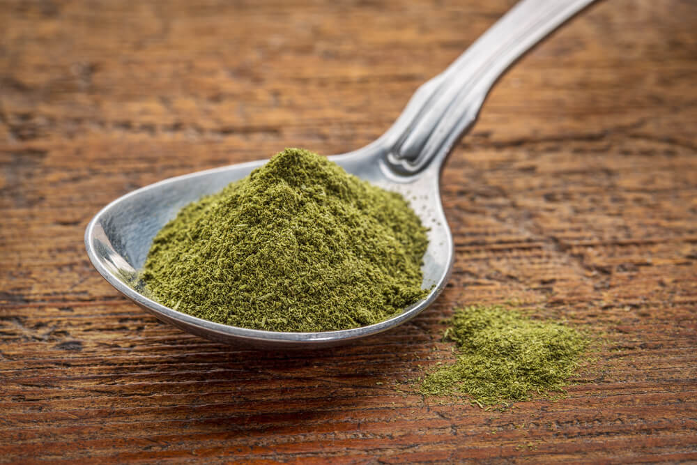 Can you put wheatgrass powder in coffee?