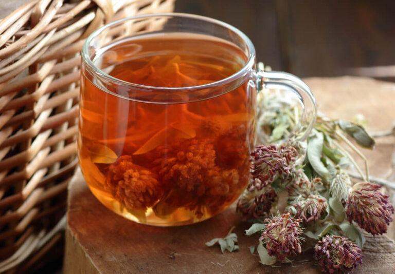 what is red clover tea for - a cup of red clover