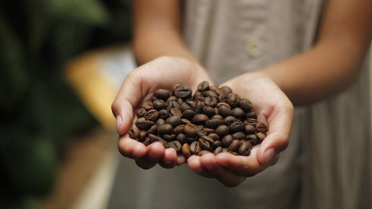 Are coffee beans vegetables?