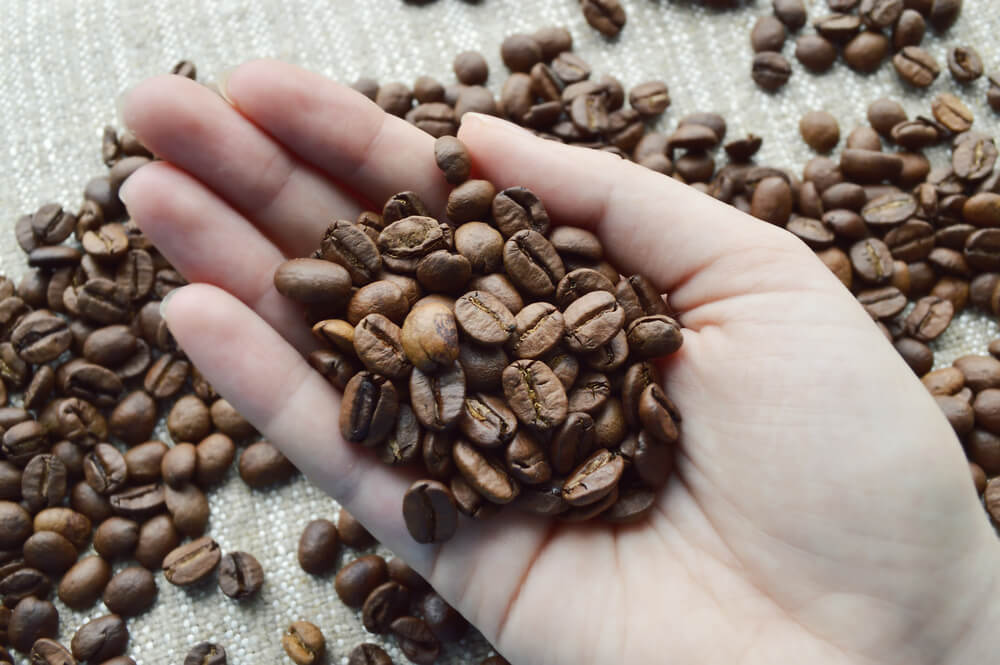 How do you grind oily beans?