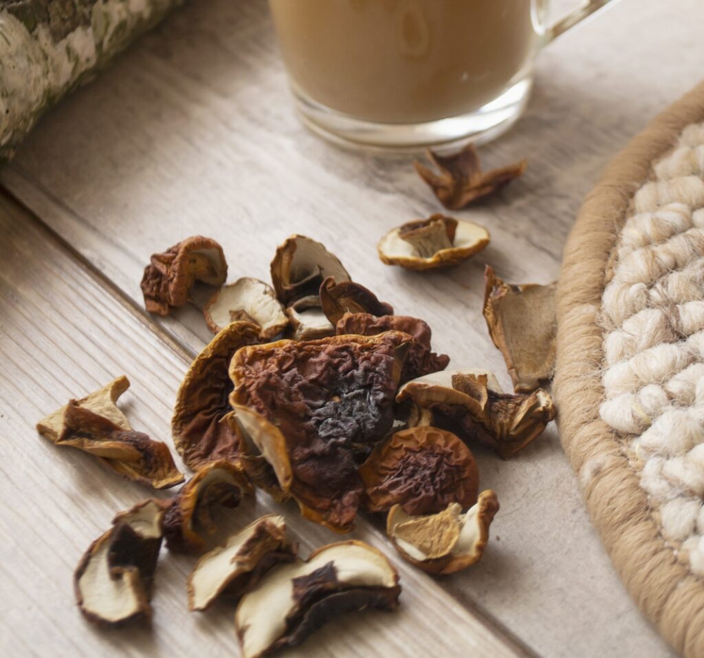 Chaga mushroom cut in pieces and used as a coffee ingredient