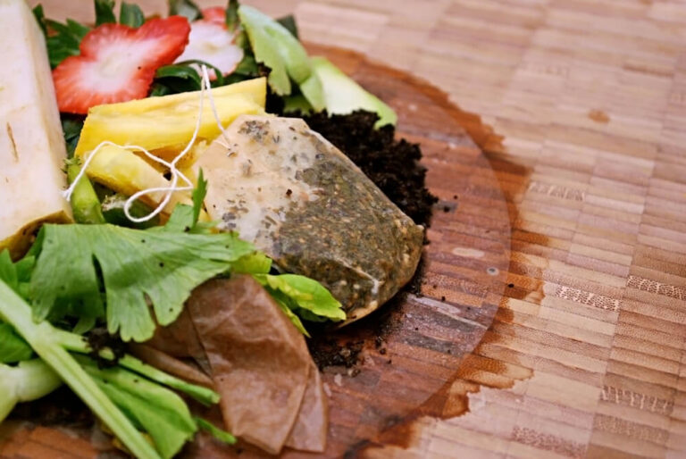 what is a compost-tea