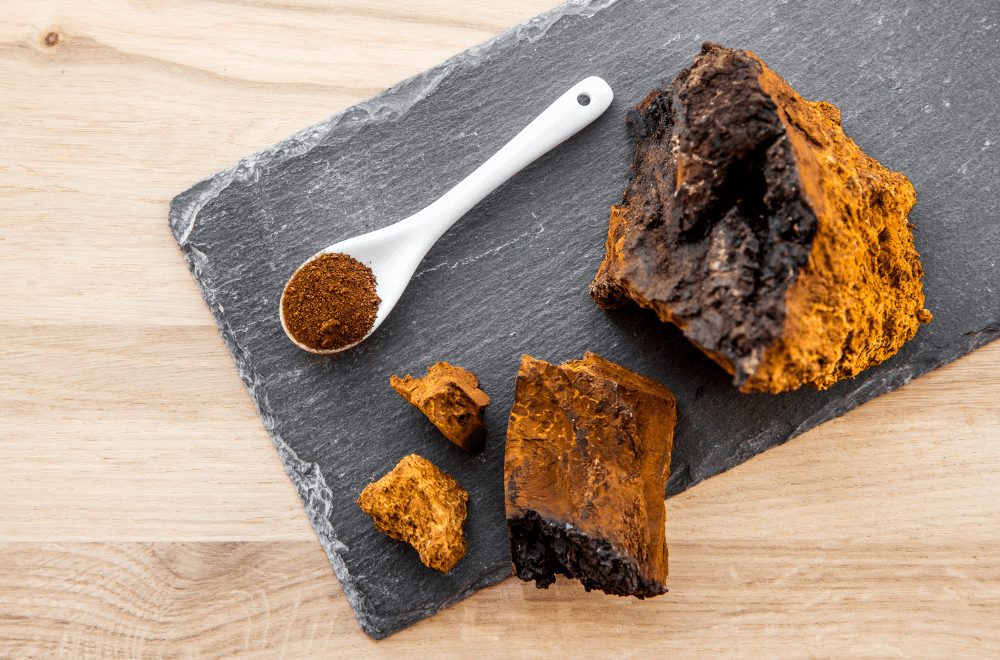 A teaspoon of Chaga