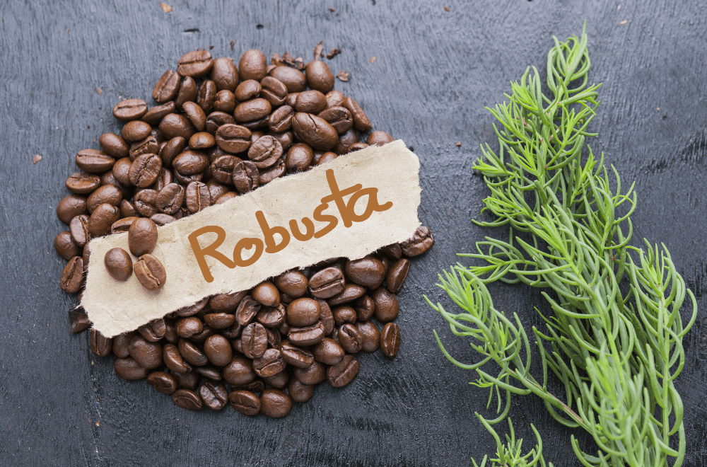 What is high-altitude coffee?