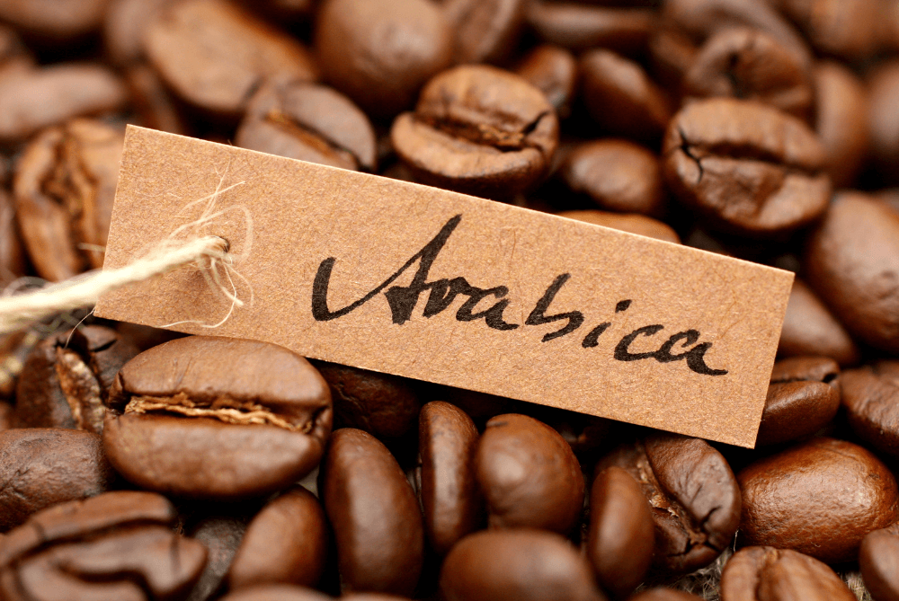 Arabica coffee beans