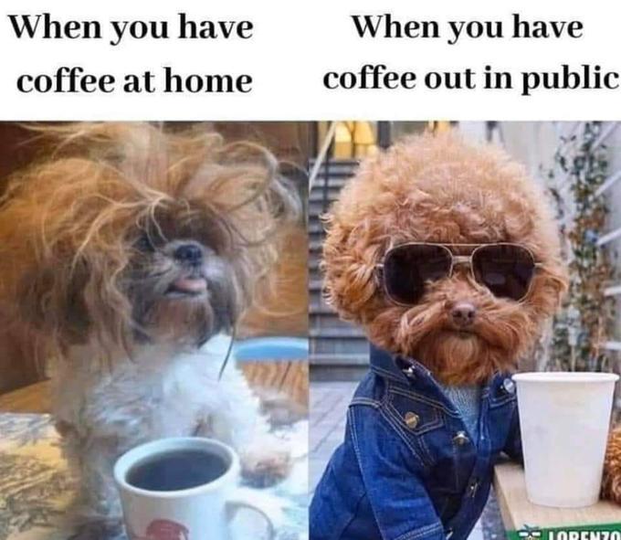 Its me Im the problem coffee addict meme