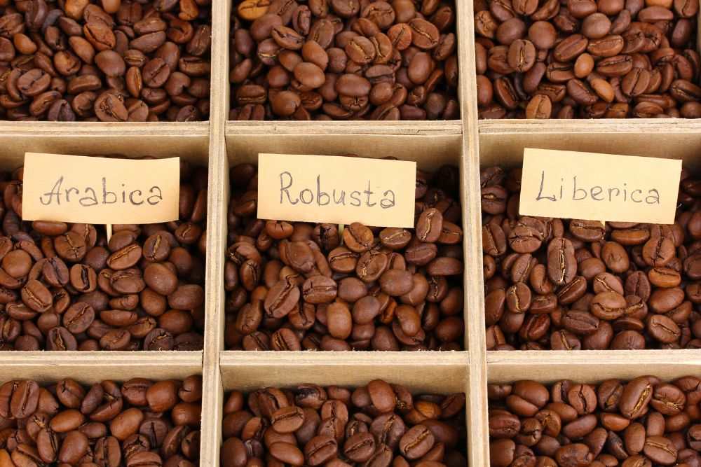 Coffee beans in wooden box