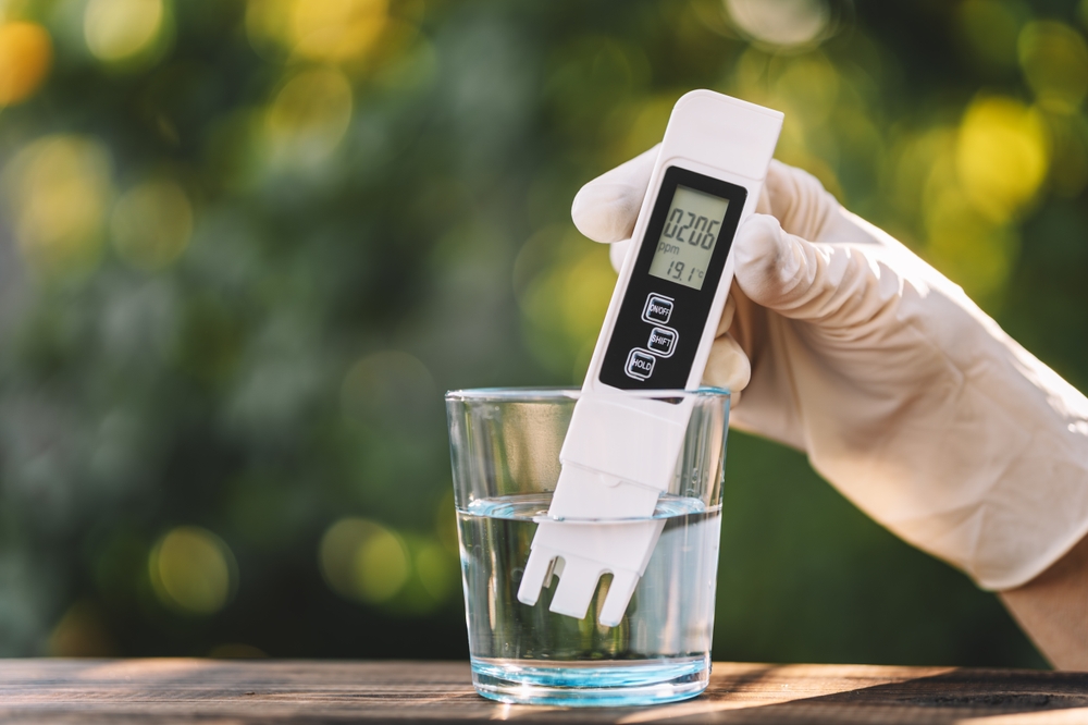 Can Coffee Filters Purify Water?