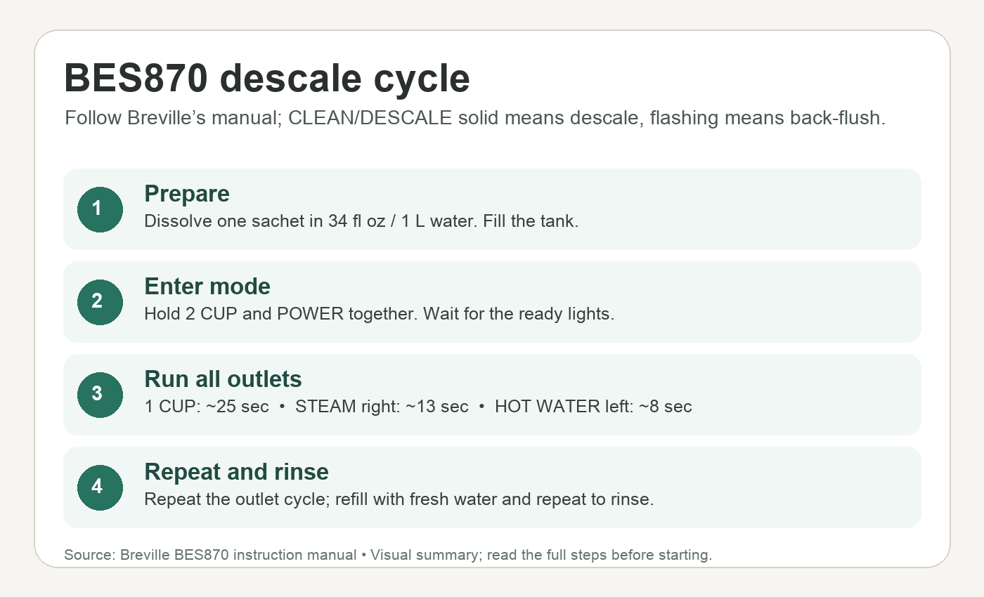 Four phases of the Breville BES870 descaling cycle, from indicator light to fresh-water rinse.