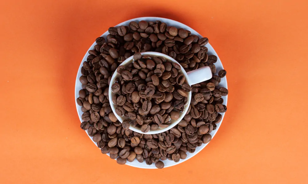 Coffee Bean Background History - Its Origin and How It Was Discovered