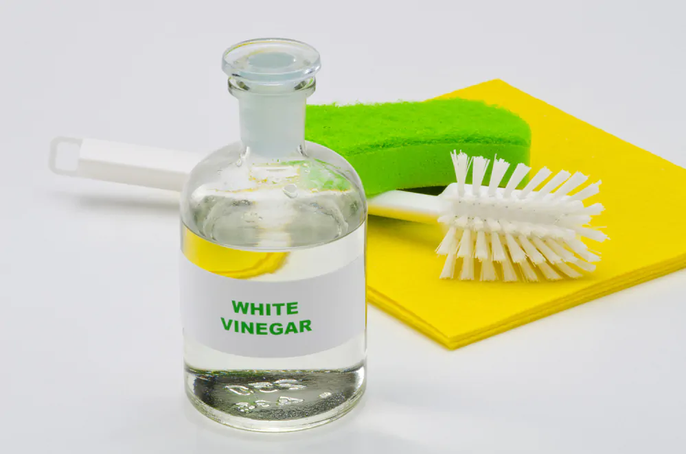 How to clean your coffee maker without vinegar?