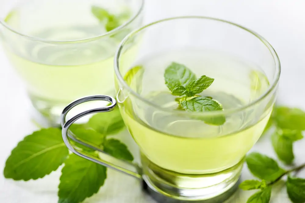 Cup of Mint tea