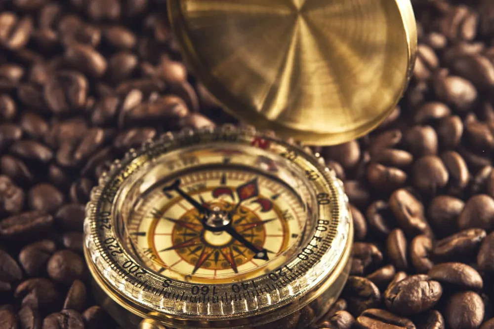 best coffee for long term storage