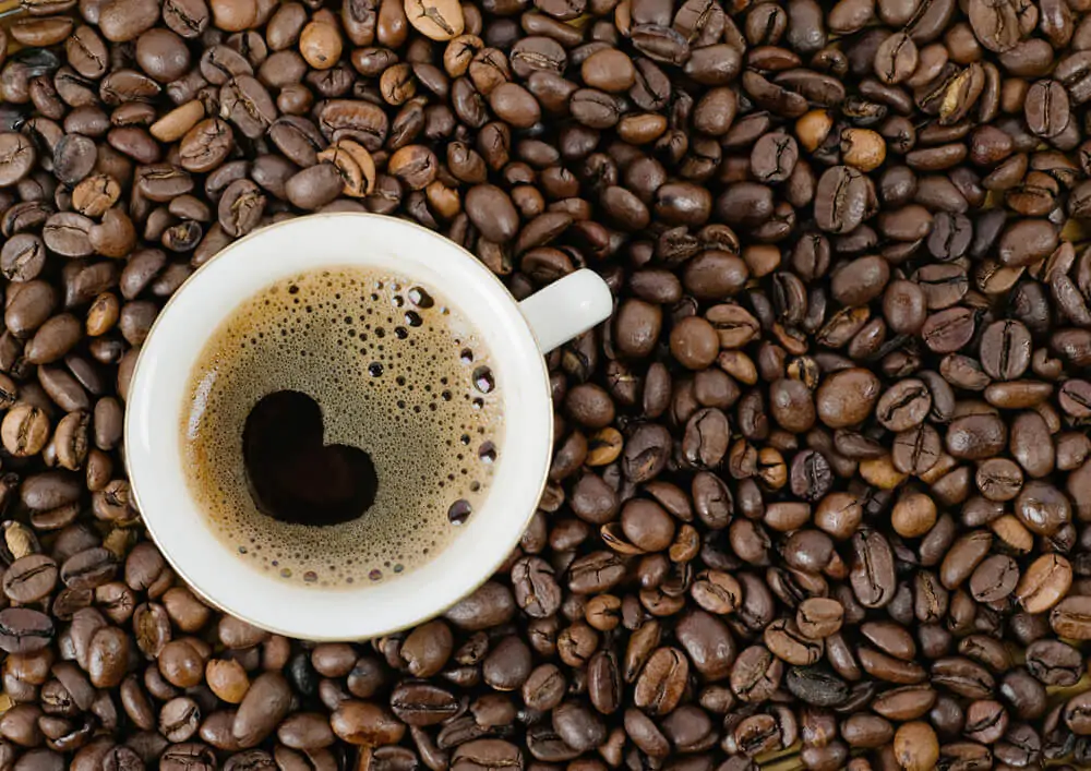 Best coffee for Moccamaster
