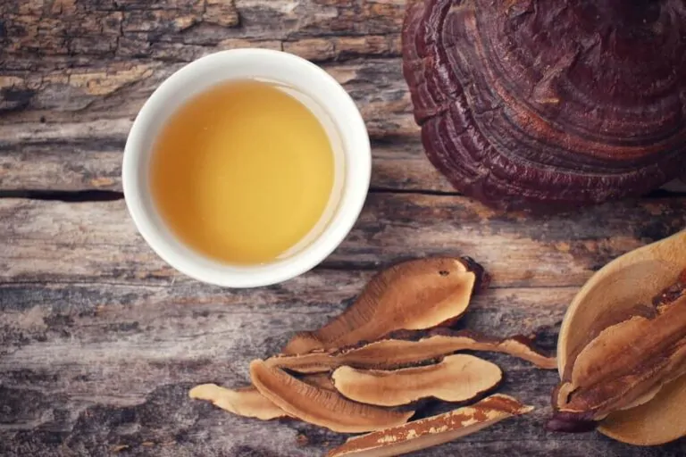 what-is-ganoderma-coffee