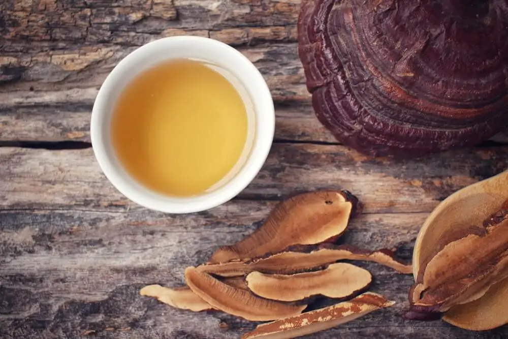 what-is-ganoderma-coffee