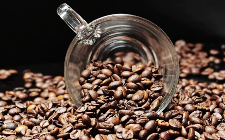 Are coffee cups oven-safe?