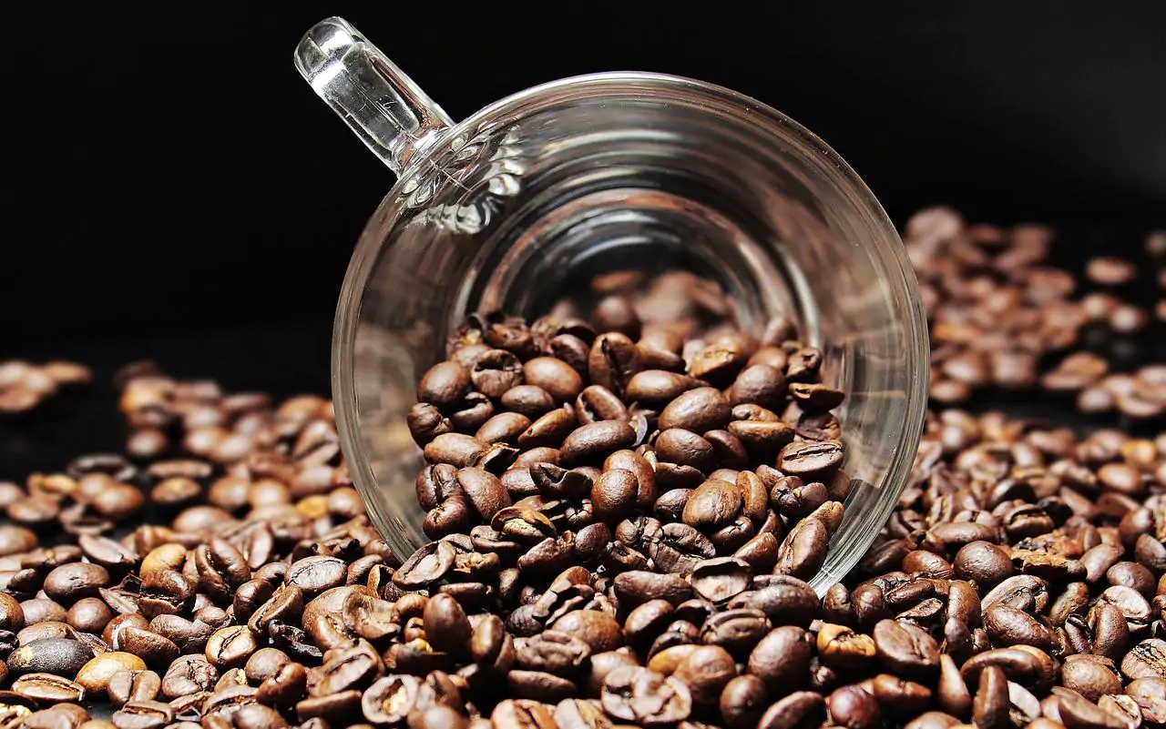 Are coffee cups oven-safe?