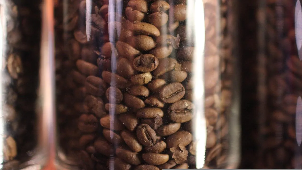 is-maxwell-house-made-from-arabica-coffee-beans