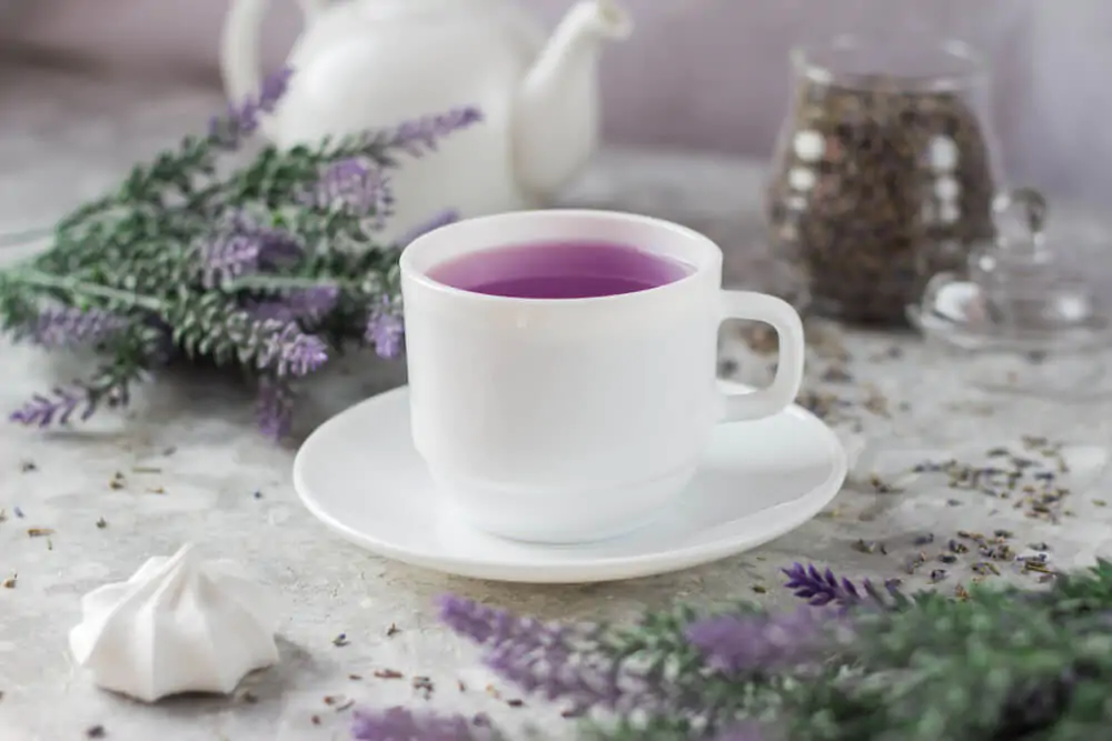 what-tea-is-purple