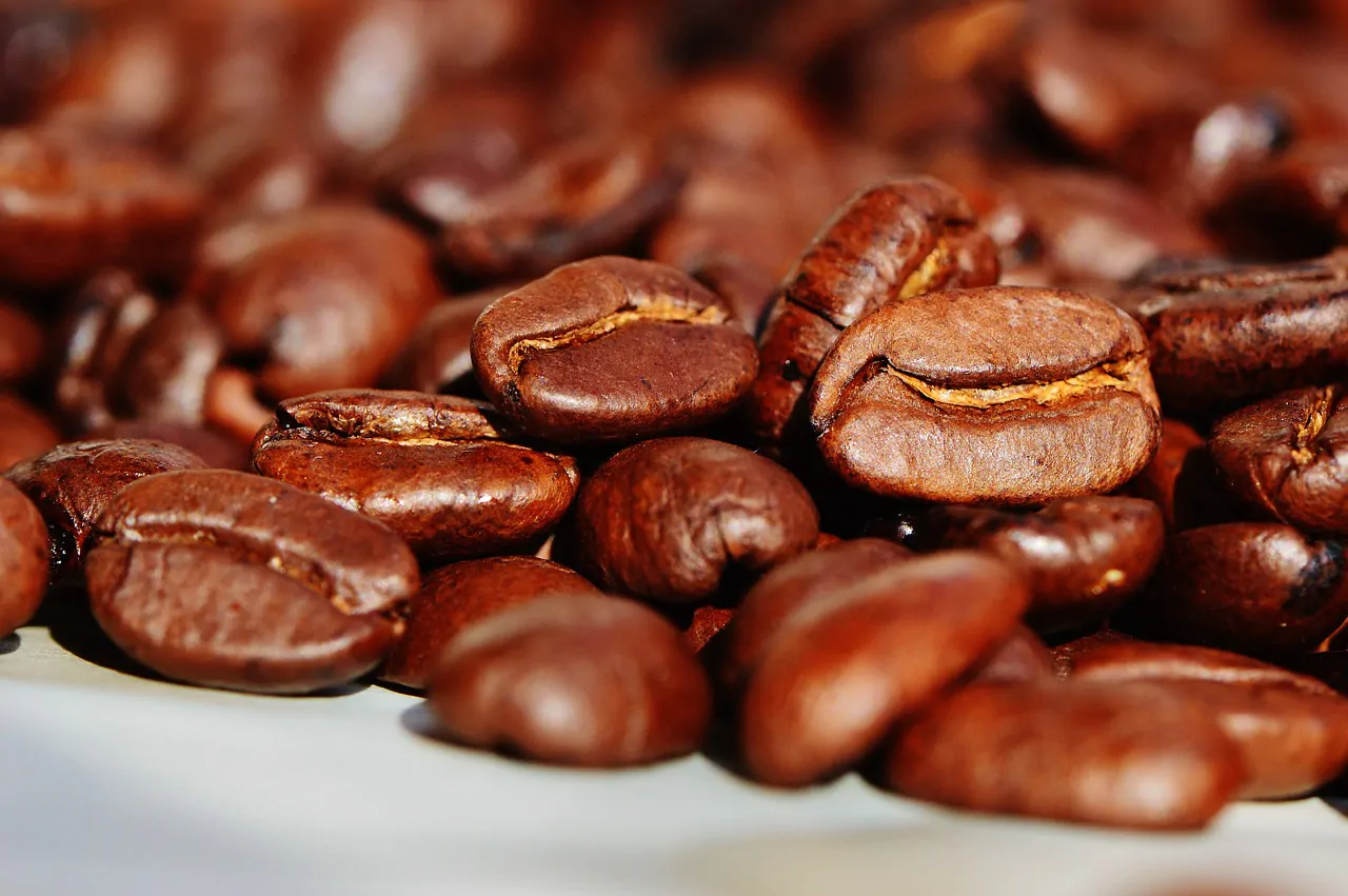 Maragogype Coffee