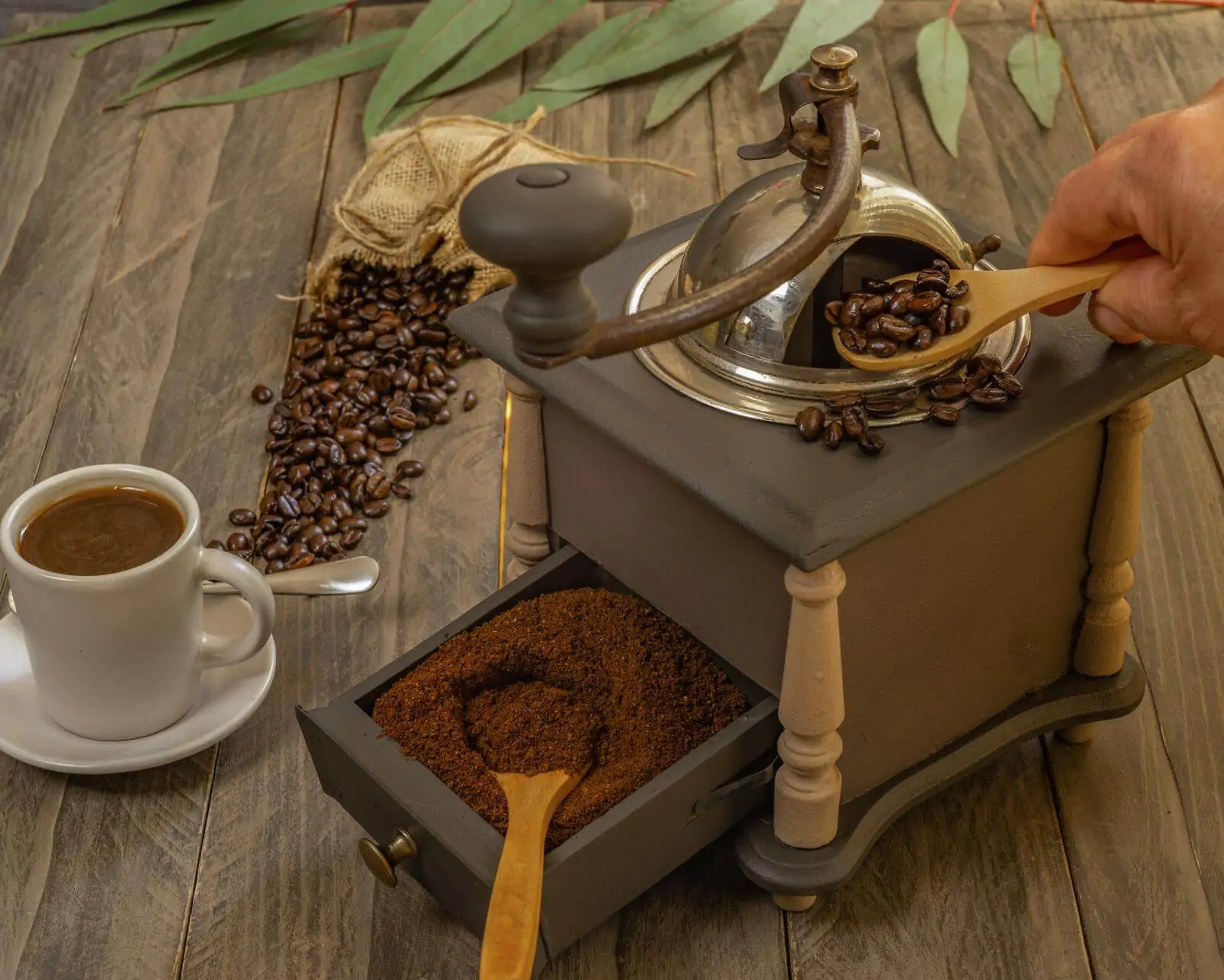 coffee beans and ground coffee