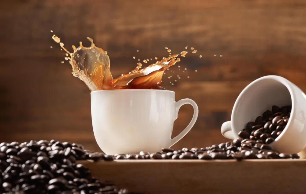 How to brew lifeboost coffee