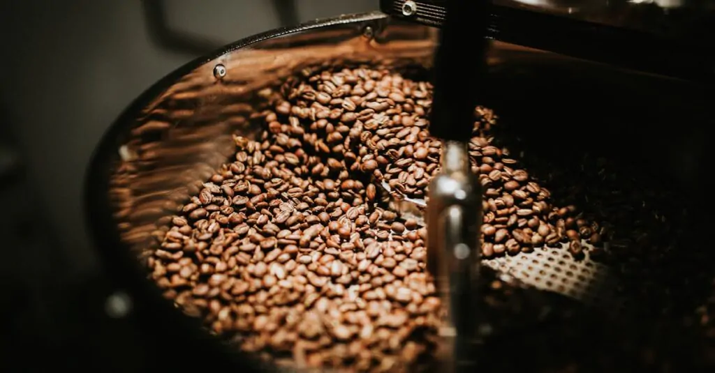 Best coffee roast