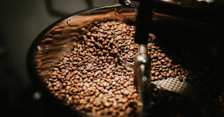 Best coffee roast