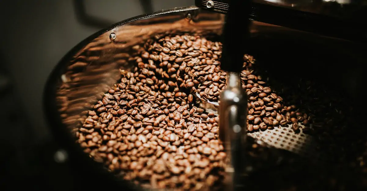 Best coffee roast
